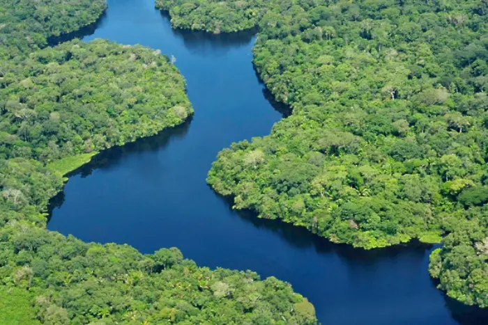 Бразилия обмисля да пусне ли Total в Амазония