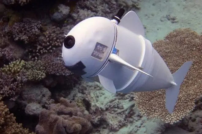 Плаващ рИбот шпионира рибите под вода (видео)