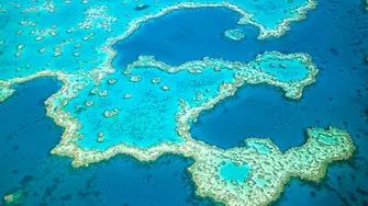 Австралия обещава $500 000 000 за възстановяване на Големия бариерен риф 