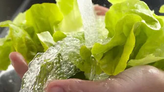 Как да мием правилно зеленчуците