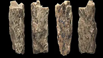 Момиче на 90 000 години - щерка на неандерталка и денисов човек