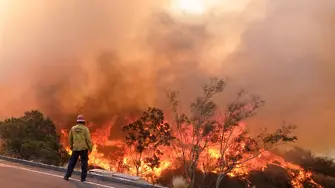 76 станаха жертвите на пожарите в Калифорния, 1300 са в неизвестност