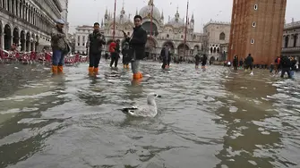 Климатичните промени заплашват Арл, Венеция и Ефес