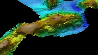 Учени откриха изгубен свят край бреговете на Тасмания