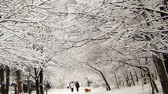 Жълт код за сняг и дъжд в почти цяла България