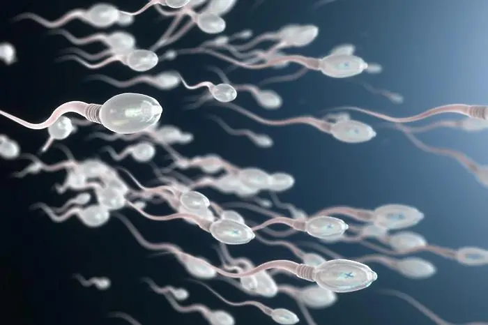 За пръв път в медицината: мъж си инжектира 18 дози сперма 