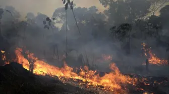 Бразилия отказа помощта на Г-7 срещу пожарите