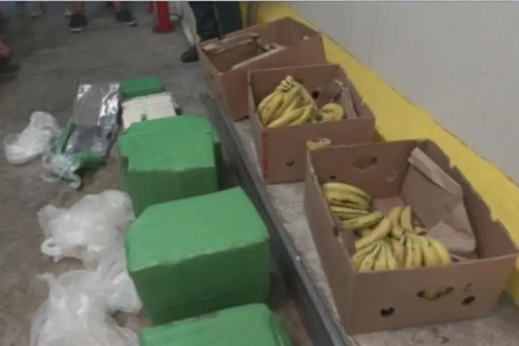 Обискираха всички складове на фирмата с пратката банани с кокаин