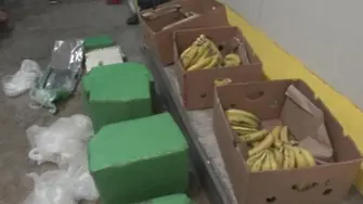 Обискираха всички складове на фирмата с пратката банани с кокаин