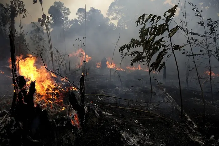 Пожарите могат да превърнат Амазония в савана