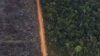 Пожарите в Амазония са 