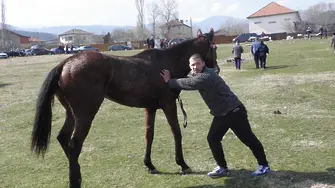 Други няма. Те са вече избрани