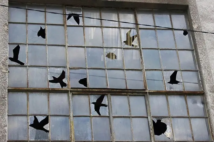 Счупен прозорец или изкуство?
