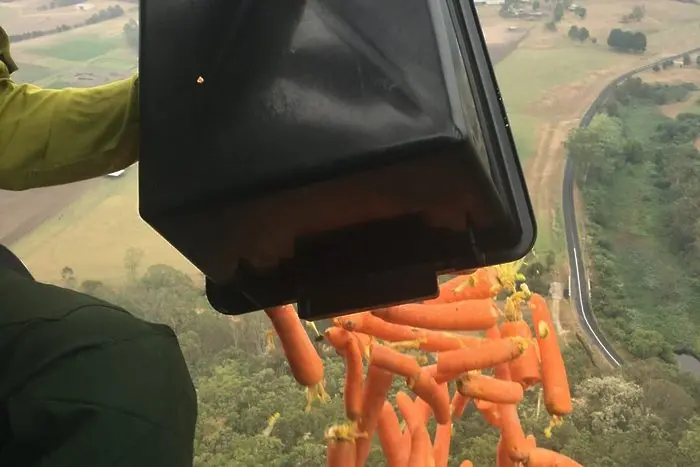 Защо в Австралия хвърлят зеленчуци от хеликоптери?