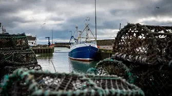 Как френските рибари ще потопят Великобритания след Брекзит?