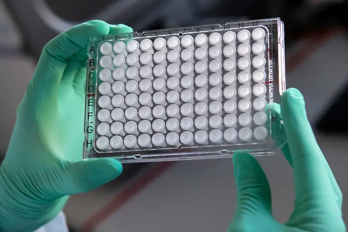 Фалшива новина: САЩ спират PCR-ите, защото са ненадеждни