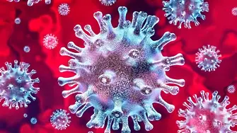 Стотици учени искат СЗО да ревизира препоръките си за коронавируса