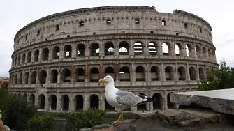 Дзукеро пя в празния Рим за Деня на земята (ВИДЕО)