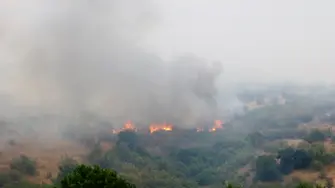 Огънят край село Маточина е локализиран, бедственото положение в Хасковско остава