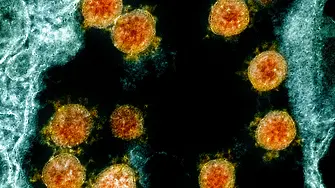 Нов щам на коронавируса - трябва ли да се притесняваме?