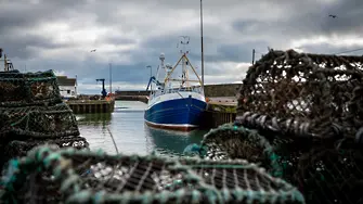 Сделката за Брекзит: ЕС намалява с 25% риболова в британски води