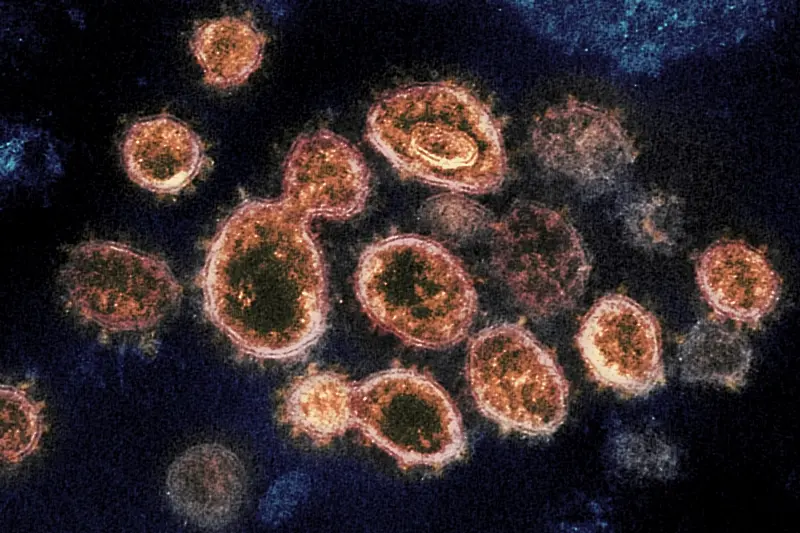 Във Великобритания 90 здрави и млади доброволци ще бъдат заразени с коронавирус