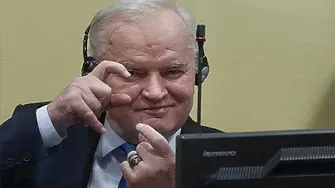 Съдът на ООН потвърди доживотната присъда на Ратко Младич