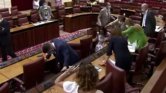 Плъх прекъсна заседание на парламента на Андалусия (ВИДЕО)