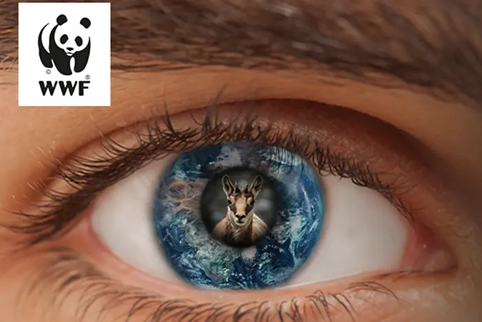 WWF стартира кампания, посветена на борбата с престъпленията срещу дивата природа