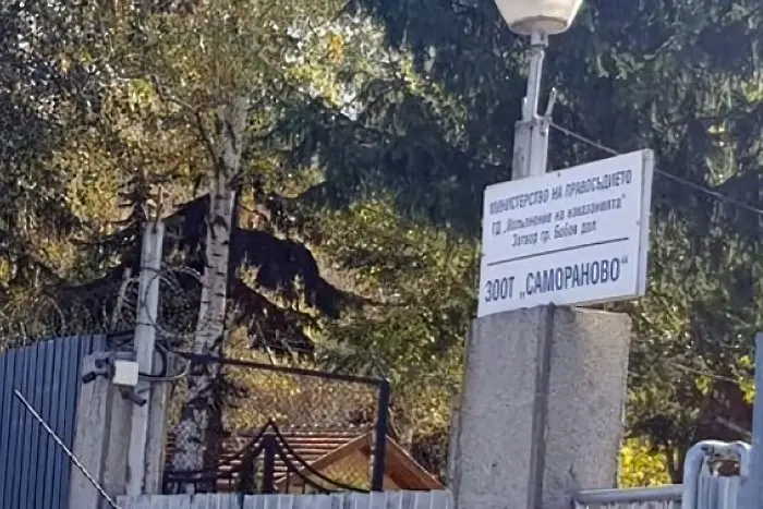 Планират нов затвор за 400 души в Кюстендилско. Местните скочиха