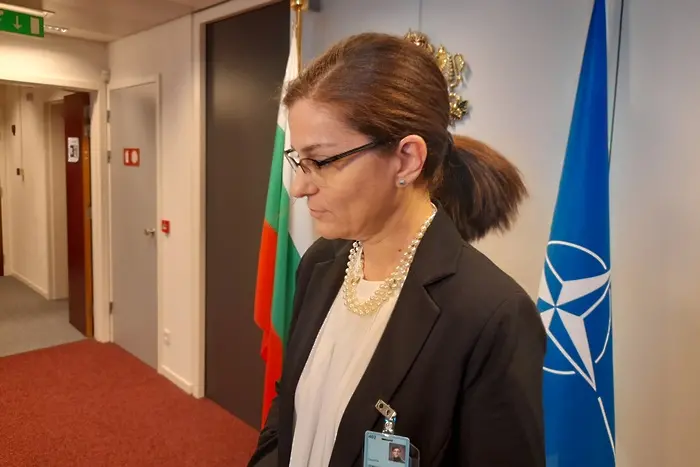 Бербок: Генчовска се съгласи, че преговорите с РСМ за членство в ЕС трябва да започнат възможно най-скоро