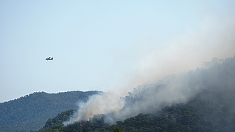 Няколко големи пожара бушуват в Гърция