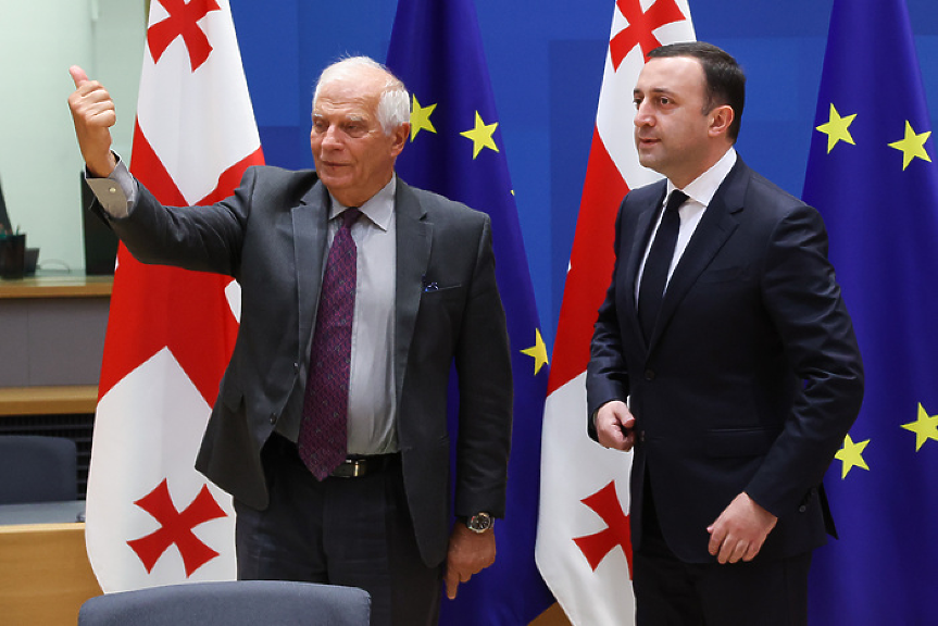 Забавяне на реформите спъва Грузия по пътя към ЕС