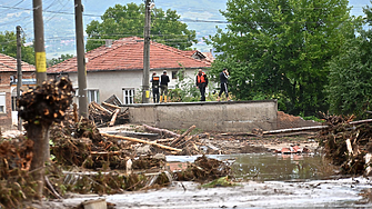 Нямало прекомерна сеч в наводнените райони, твърди министър