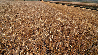 Украйна изнася почти толкова зърно, колкото преди руската инвазия