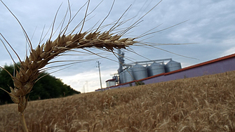Заради украинския внос, зърнопроизводители блокират пътища в страната