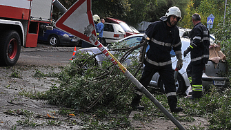 ДЕНЯТ В НЯКОЛКО РЕДА: Пугачова се опълчи на Кремъл. В Бургаско разчистват след урагана