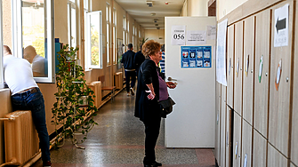 България - най-ниска активност при задължително гласуване в света?