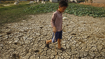 ООН: 1/3 от земната площ е деградирала от ерозия и изчерпване на хранителните вещества