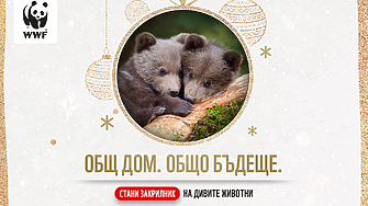 WWF опазва старите гори – дом на дивите животни в България