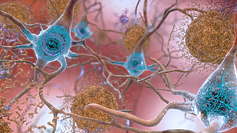 Учени приветстват новия етап от битката с болестта на Алцхаймер