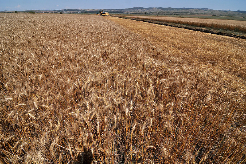 НАСА: Русия е ожънала пшеница за 1 милиард долара в Украйна
