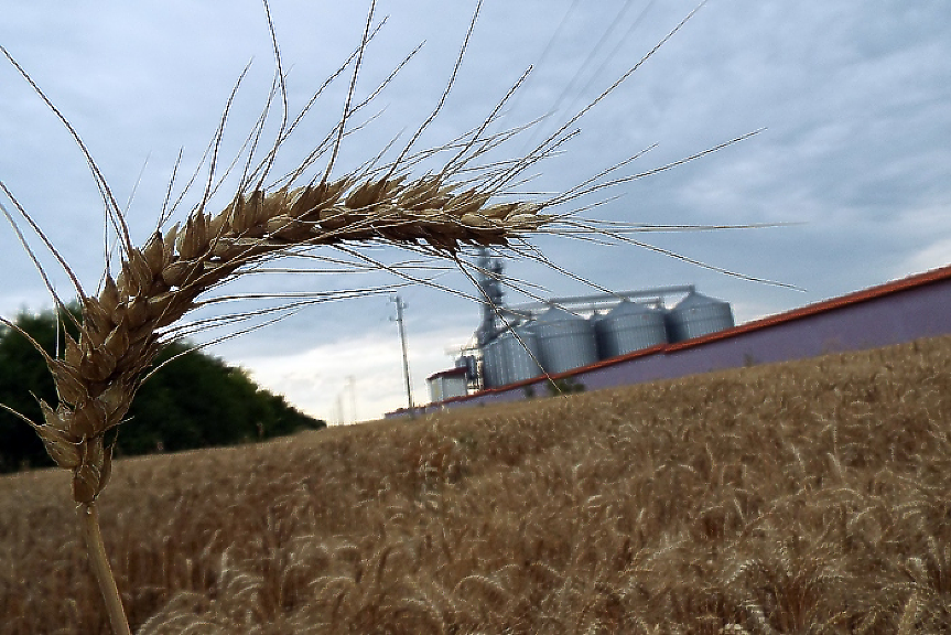 Задава се нова драма с украинското зърно