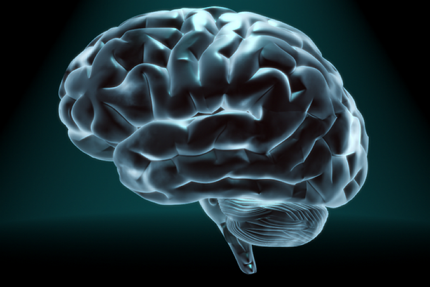 Конгресмени искат разследване за измама с ценни книжа срещу Мъск - заради мозъчните импланти Neuralink