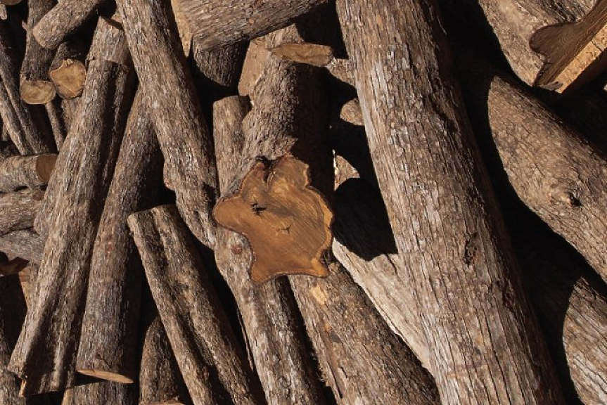 Трафикът на дървен материал става престъпление срещу околната среда в ЕС