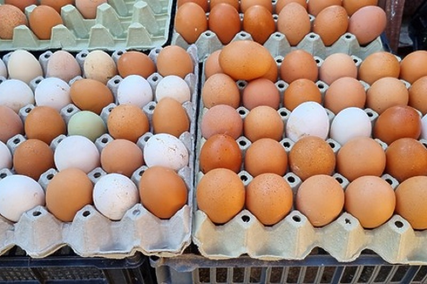 Продават ли вносни яйца и пилешко с етикет за български?