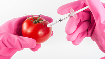 Регламентът на ЕС за новите геномни техники не отменя правилата за GMO храните