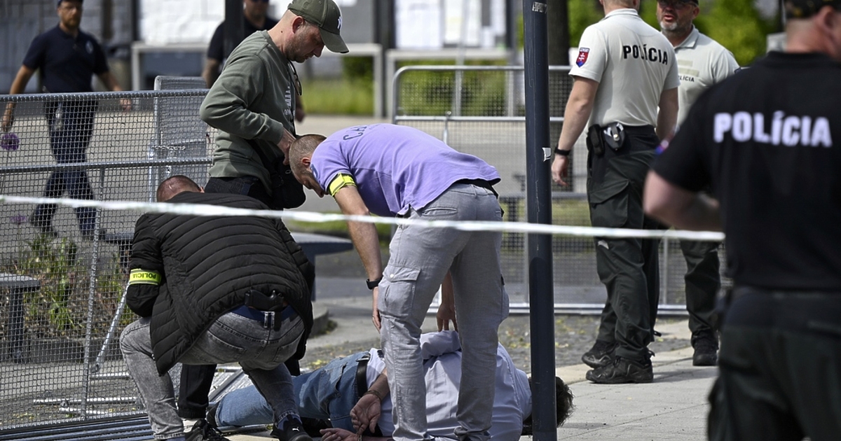 71-годишен мъж е нападателят на словашкия премиер Роберт Фицо, според