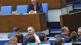 Извънредното заседание на парламента с формален повод процентите на увеличение