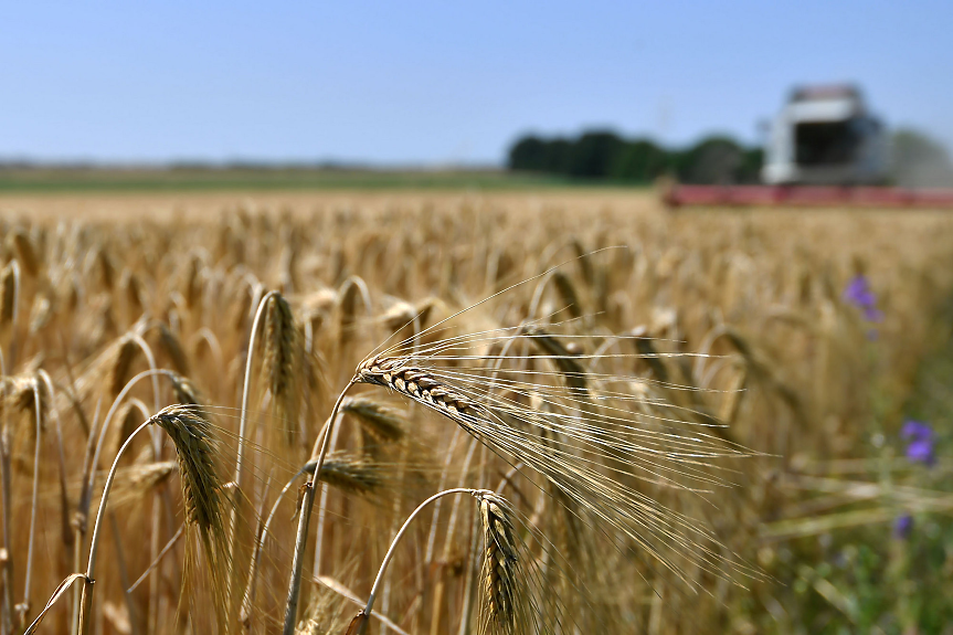 ЕС завиши митата върху зърното от Русия и Беларус